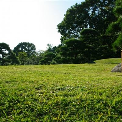 2024年琅勃拉邦省中老友好节—中秋文艺晚会成功举办